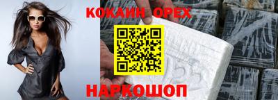 мет Кингисепп
