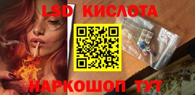 мет Кингисепп