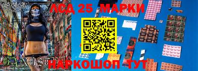 мет Кингисепп
