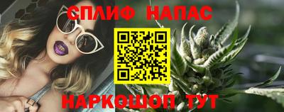 мет Кингисепп