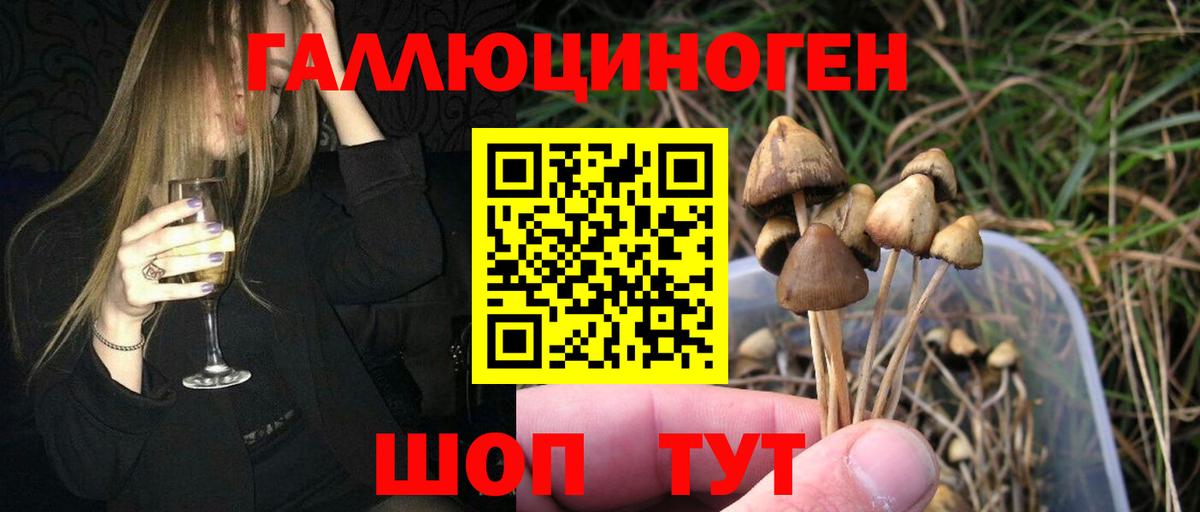 как найти закладки  Галлюциногенные грибы Psilocybe  Вход с VPN  Кстово 
