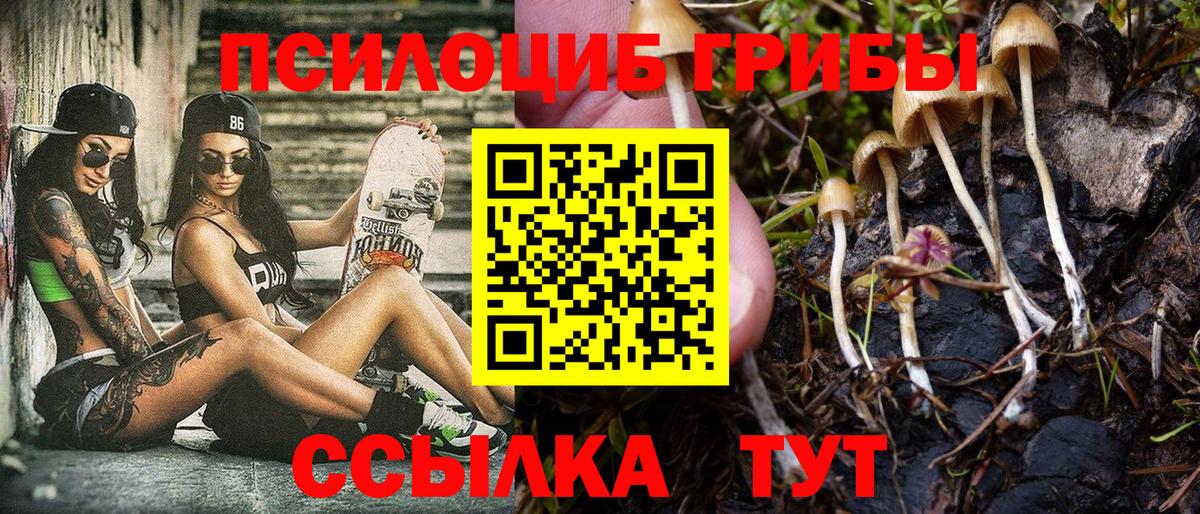 Галлюциногенные грибы Psilocybine cubensis Кстово